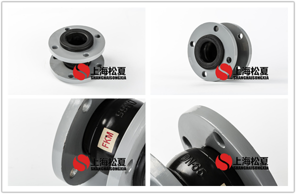 FKM-DN100-16kg耐腐蝕氟<a href='http://www.390642.com' target='_blank'><u>橡膠接頭</u></a>